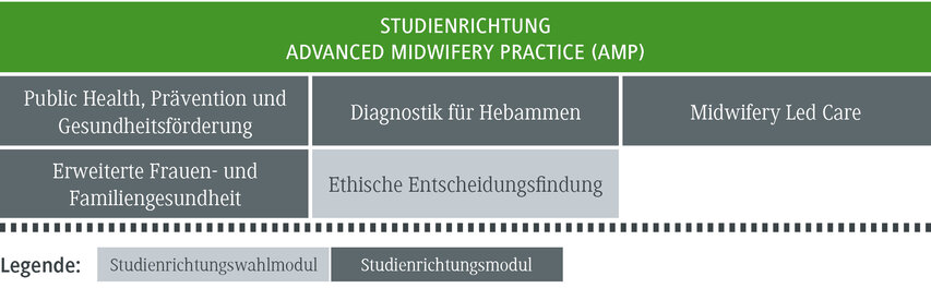 Die Grafik zeigt die Studienrichtung 'Advanced Midwifery Practice' mit verschiedenen Modulen zur Gesundheitsförderung.