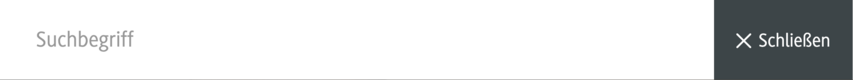Screenshot der geöffneten Suche