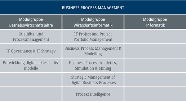 Das Diagramm zeigt die Module f&uuml;r Business Process Management, unterteilt in Betriebswirtschaftslehre und Wirtschaftsinformatik.