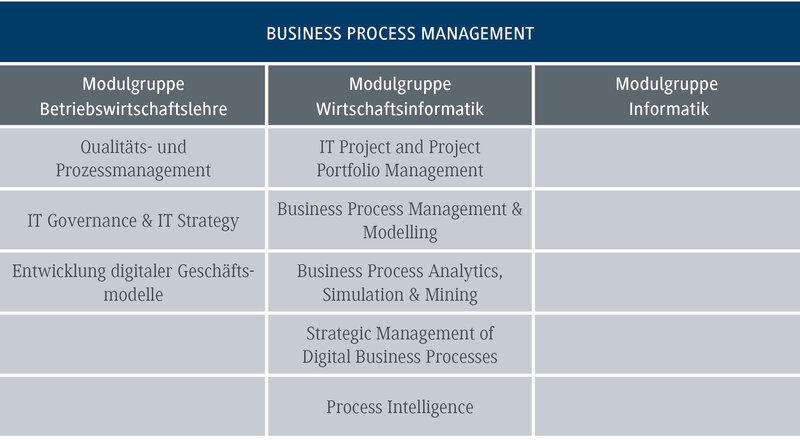 Das Diagramm zeigt die Module für Business Process Management, unterteilt in Betriebswirtschaftslehre und Wirtschaftsinformatik.