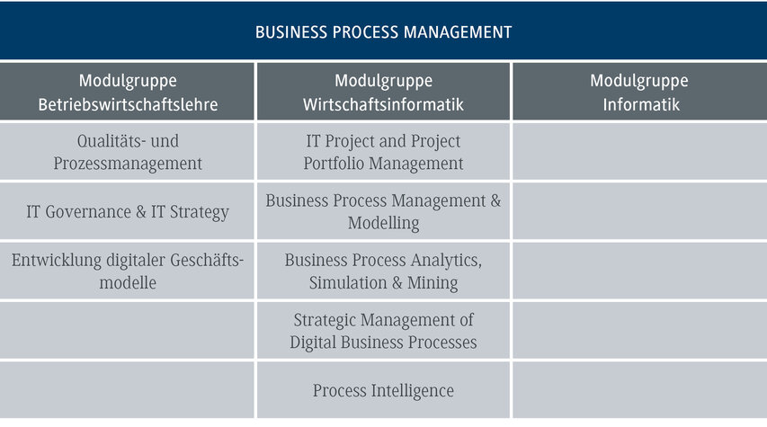 Das Diagramm zeigt die Module für Business Process Management, unterteilt in Betriebswirtschaftslehre und Wirtschaftsinformatik.