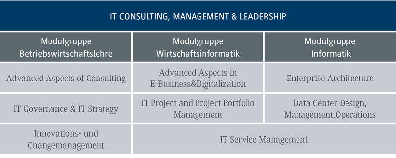 Eine Tabelle zeigt verschiedene Module im Bereich IT-Consulting, unterteilt in Betriebswirtschaftslehre, Wirtschaftsinformatik und Informatik.