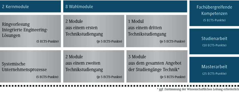 Aufbau Master Integrated Engineering (Schaubild)