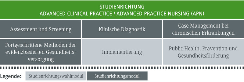 Die Tabelle zeigt verschiedene Module der Advanced Nursing Practice, einschließlich Assessment und klinischer Diagnostik.