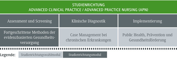 Die Tabelle zeigt verschiedene Module der Advanced Nursing Practice, einschlie&szlig;lich Assessment und klinischer Diagnostik.