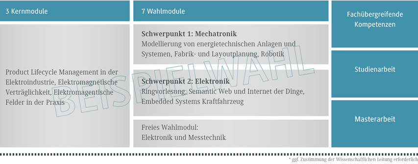 Drei Kernmodule und sieben Wahlmodule werden in einem strukturierten Layout für ein Studienprogramm präsentiert.
