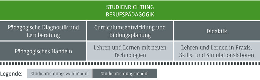Die Grafik zeigt verschiedene Module der Berufspädagogik, darunter Didaktik und Curriculum-Entwicklung.