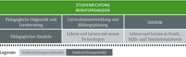 Die Grafik zeigt verschiedene Module der Berufsp&auml;dagogik, darunter Didaktik und Curriculum-Entwicklung.
