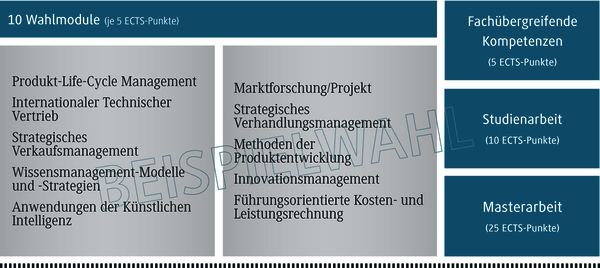 Eine &Uuml;bersicht &uuml;ber zehn Wahlmodule, die jeweils f&uuml;nf ECTS-Punkte vergeben, mit verschiedenen Themenbereichen.