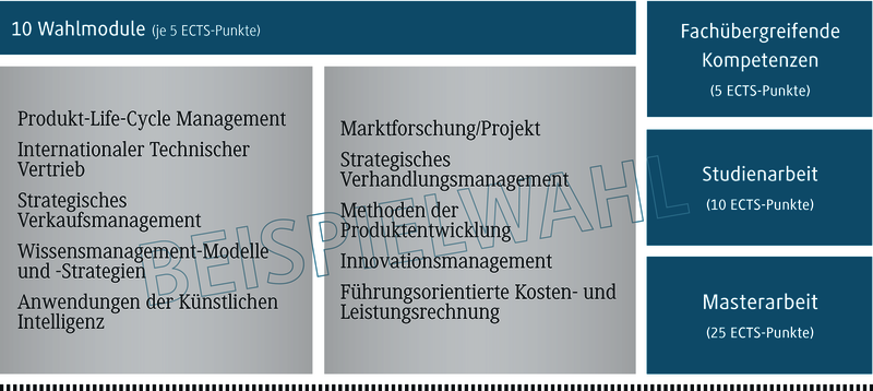 Eine Übersicht über zehn Wahlmodule, die jeweils fünf ECTS-Punkte vergeben, mit verschiedenen Themenbereichen.