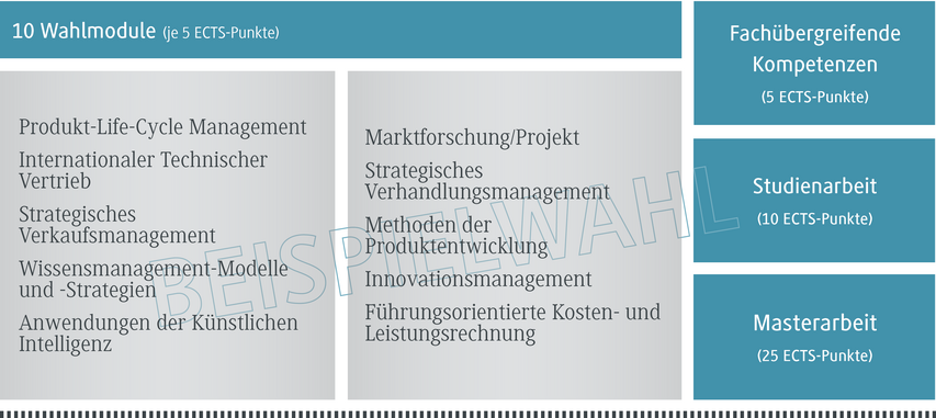 Eine Übersicht über zehn Wahlmodule, die jeweils fünf ECTS-Punkte vergeben, mit verschiedenen Themenbereichen.