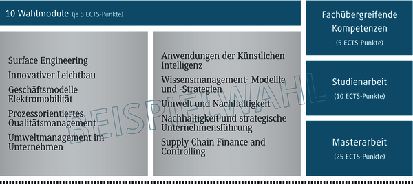 Eine &Uuml;bersicht &uuml;ber zehn Wahlmodule, die jeweils f&uuml;nf ECTS-Punkte umfassen, mit verschiedenen Fachrichtungen.