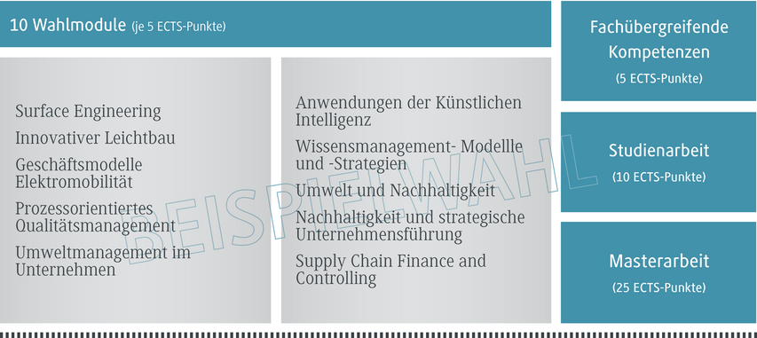 Eine Übersicht über zehn Wahlmodule, die jeweils fünf ECTS-Punkte umfassen, mit verschiedenen Fachrichtungen.