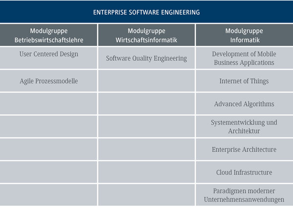 Die Tabelle zeigt verschiedene Modulgruppen im Bereich der Unternehmenssoftwaretechnik, einschlie&szlig;lich Betriebswirtschaftslehre und Informatik.