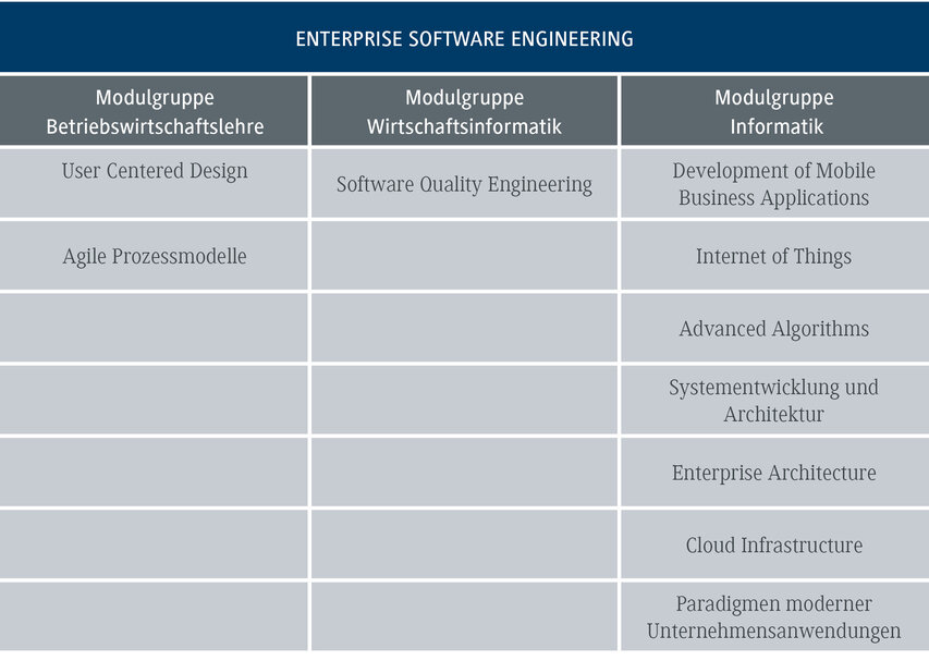 Die Tabelle zeigt verschiedene Modulgruppen im Bereich der Unternehmenssoftwaretechnik, einschließlich Betriebswirtschaftslehre und Informatik.