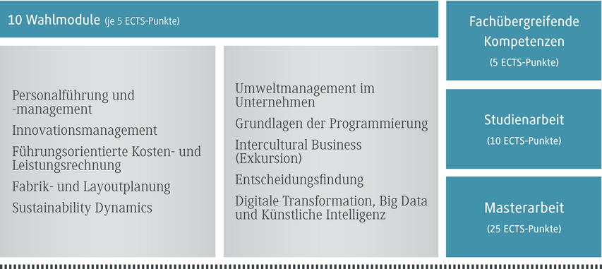 Eine Übersicht über zehn Wahlmodule, die jeweils fünf ECTS-Punkte vergeben, mit verschiedenen Themenbereichen.