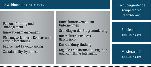 Eine &Uuml;bersicht &uuml;ber zehn Wahlmodule, die jeweils f&uuml;nf ECTS-Punkte vergeben, mit verschiedenen Themenbereichen.