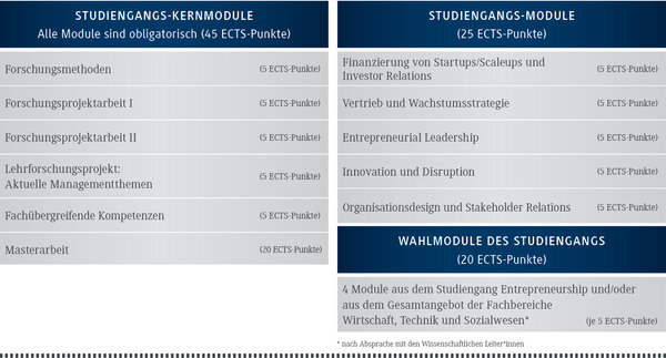 Modularer Aufbau des Masters Entrepreneurship