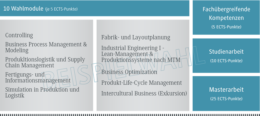 Eine Übersicht über zehn Wahlmodule, die jeweils fünf ECTS-Punkte vergeben, mit verschiedenen Studieninhalten.