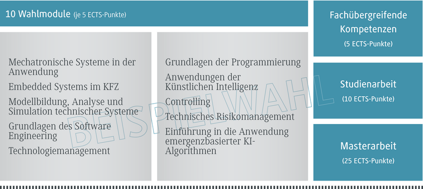 Eine Übersicht über zehn Wahlmodule, die jeweils fünf ECTS-Punkte vergeben, mit verschiedenen technischen Themen.