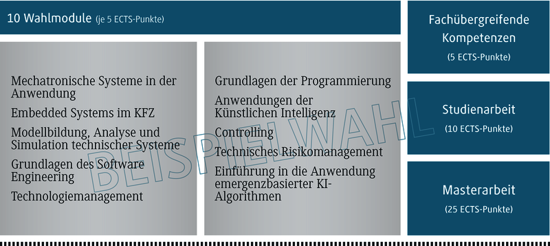 Eine Übersicht über zehn Wahlmodule, die jeweils fünf ECTS-Punkte vergeben, mit verschiedenen technischen Themen.