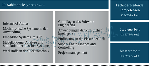 Eine &Uuml;bersicht &uuml;ber zehn Wahlmodule, die jeweils f&uuml;nf ECTS-Punkte vergeben, in einem strukturierten Layout.