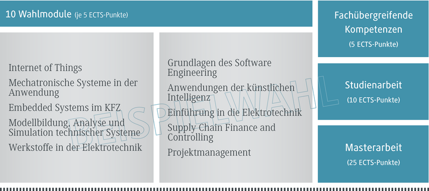 Eine Übersicht über zehn Wahlmodule, die jeweils fünf ECTS-Punkte vergeben, in einem strukturierten Layout.