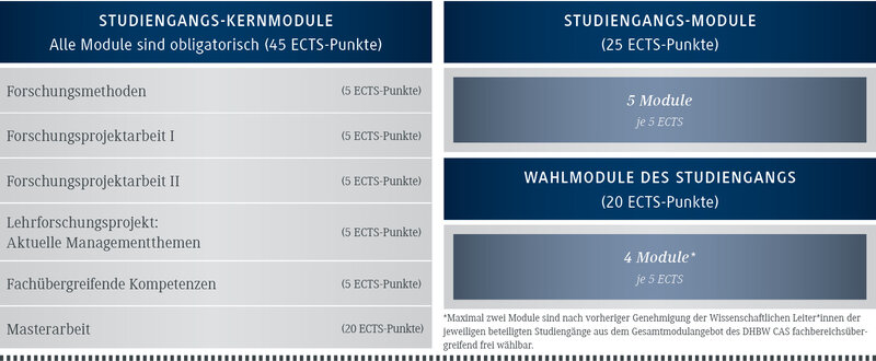 Aufbau des Masterstudium im Fachbereich Wirtschaft (Schaubild)