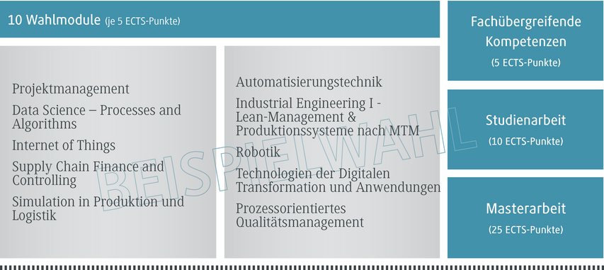 Eine Übersicht von zehn Wahlmodulen, die verschiedene Themen wie Projektmanagement und Automatisierungstechnik abdecken.