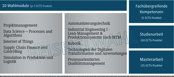 Eine &Uuml;bersicht von zehn Wahlmodulen, die verschiedene Themen wie Projektmanagement und Automatisierungstechnik abdecken.