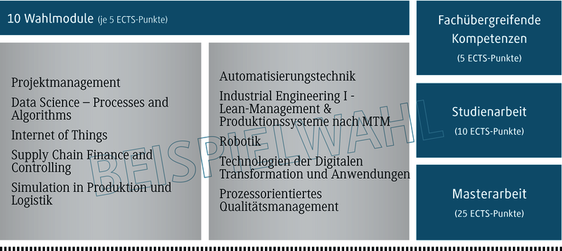 Eine Übersicht von zehn Wahlmodulen, die verschiedene Themen wie Projektmanagement und Automatisierungstechnik abdecken.