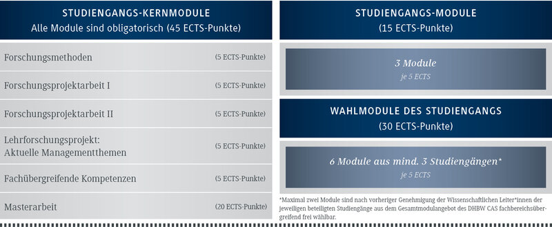 Aufbau Master General Business Management (Schaubild)