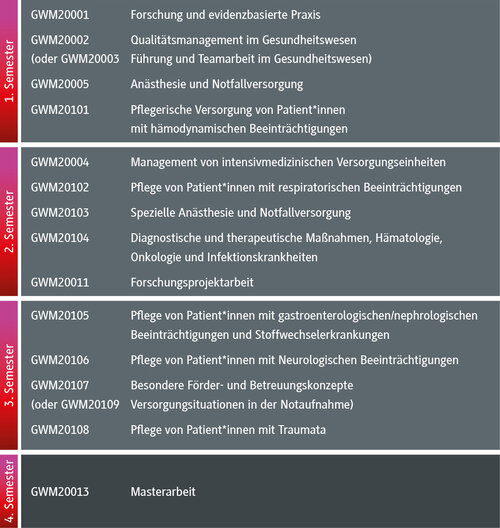 Studienverlauf Grafik